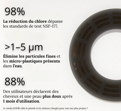 Pommeau de douche à main